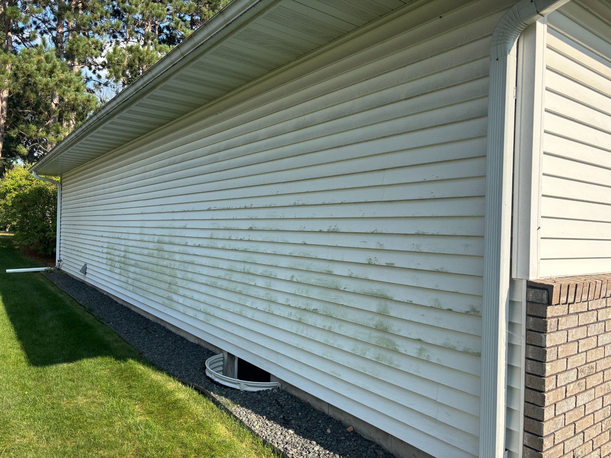 Side view of a house displaying mold stains on vinyl siding and a vent near the foundation.