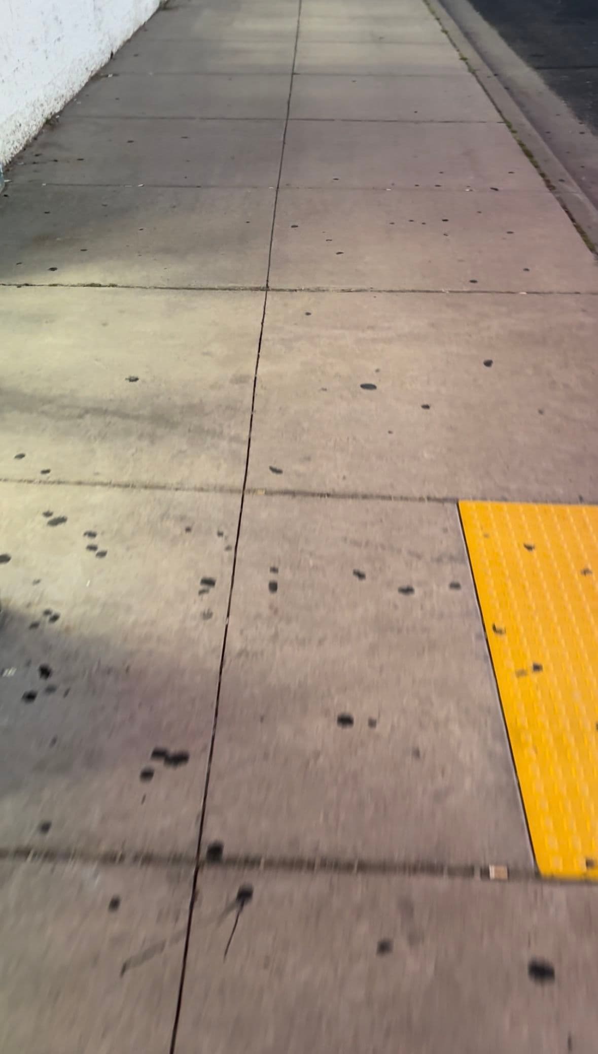 Sidewalk with textured yellow tactile strip for accessibility and scattered debris.