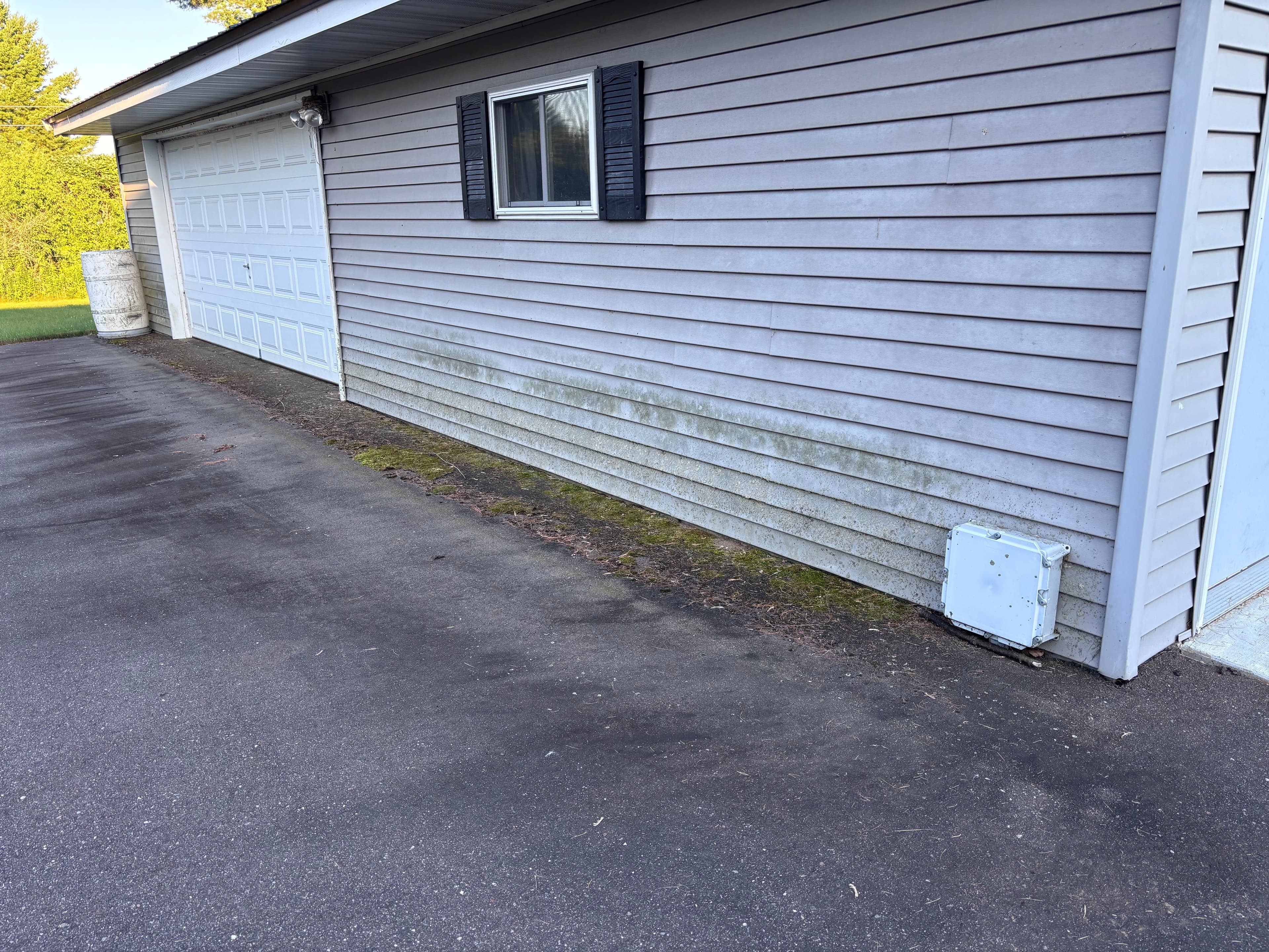 Project Green Growth and Grime Gone from This Home's Siding image