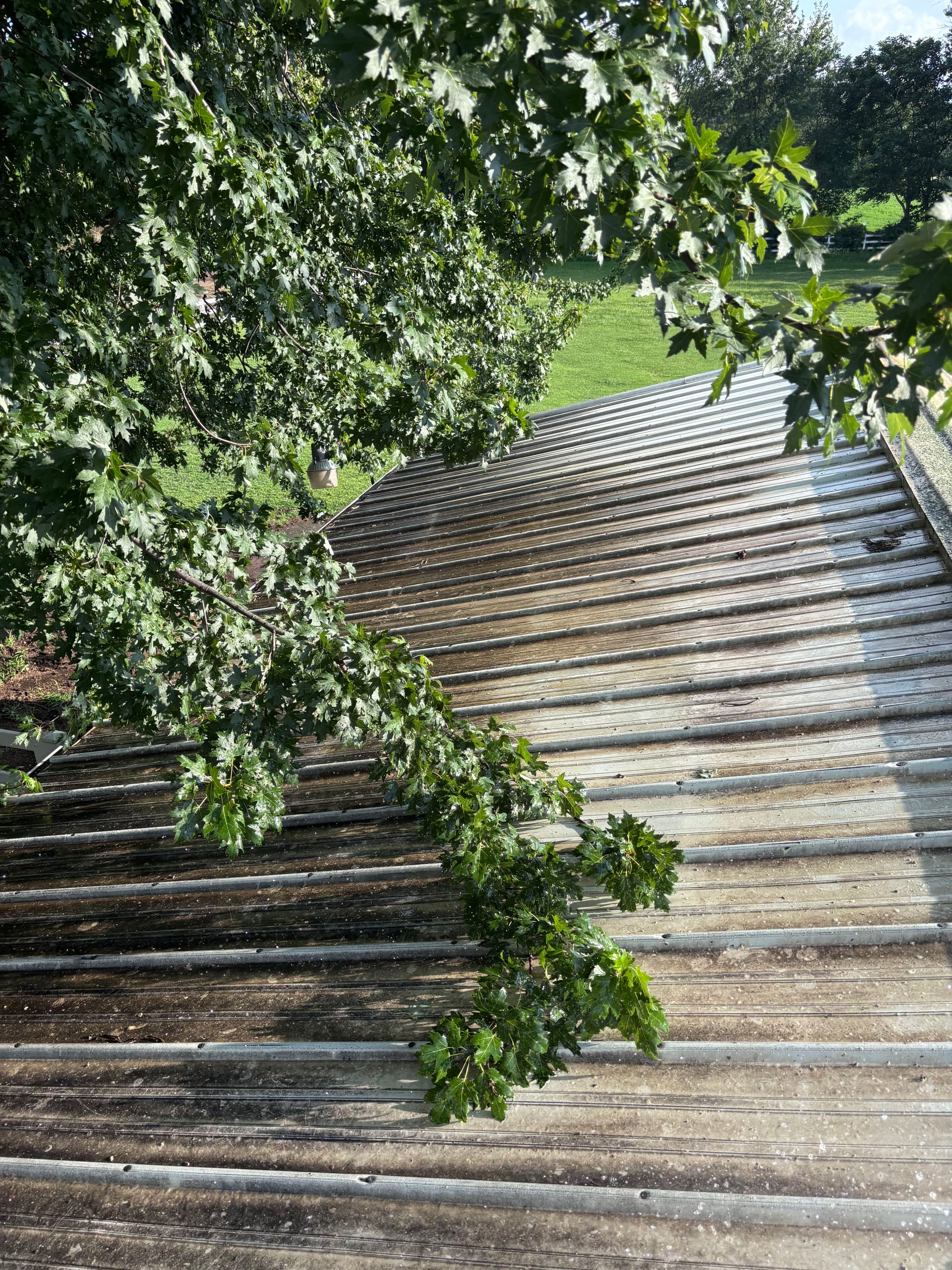 Steel Roof Cleaning Done Right - Before and After