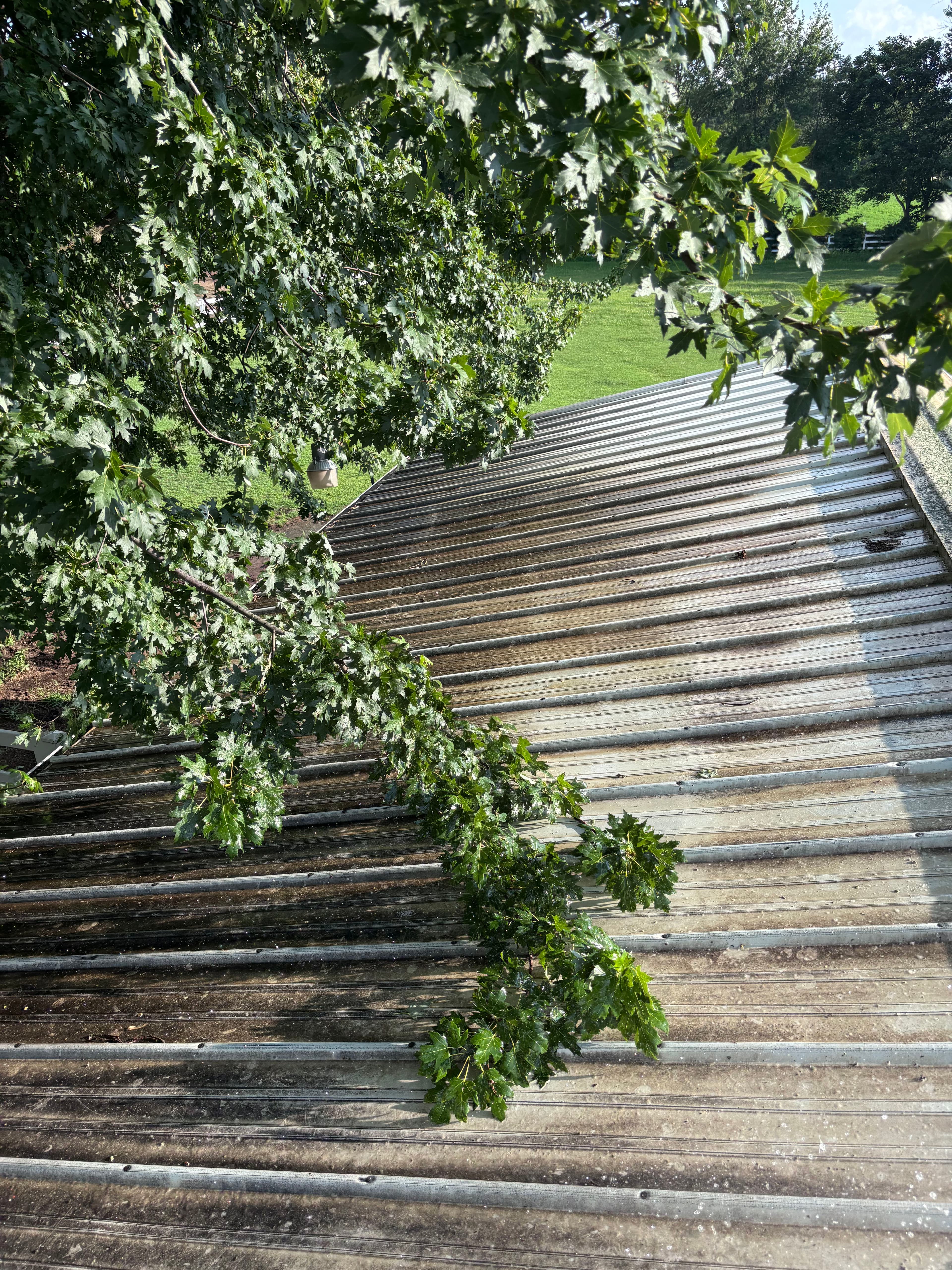 Project Steel Roof Cleaning Done Right - Before and After image