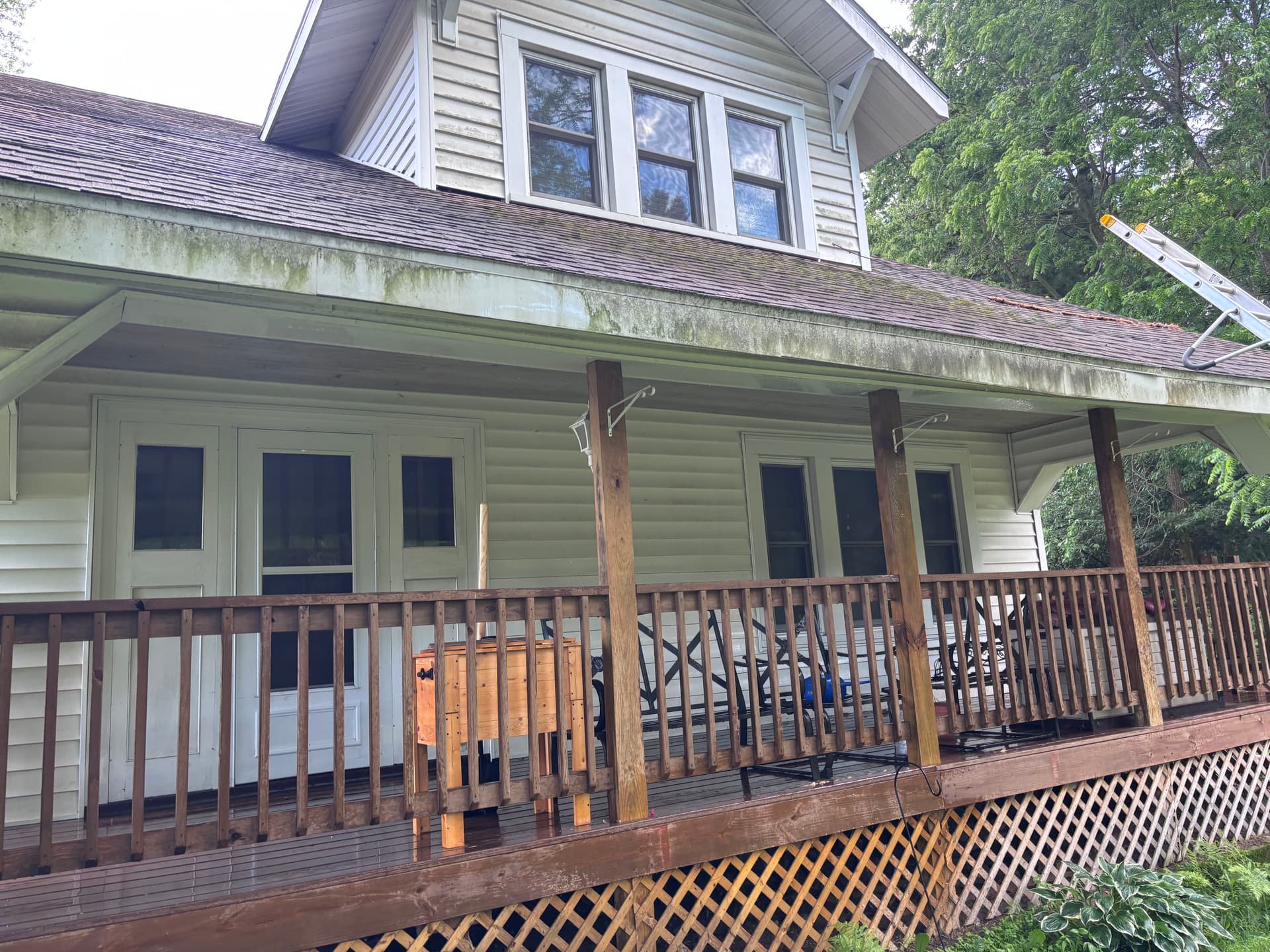 House Washing That Clears Years of Algae and Grime