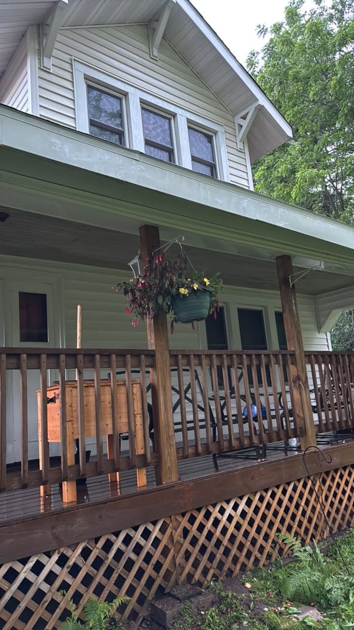 Project House Washing That Clears Years of Algae and Grime image