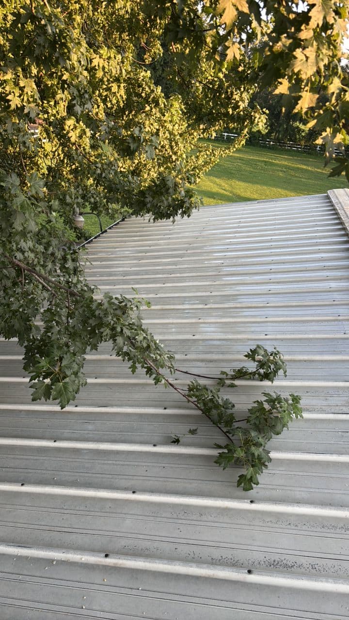 Steel Roof Cleaning Done Right - Before and After